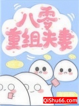 八零重组夫妻小说
