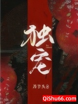 独宠（宫斗）小说
