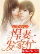 七零年代之悍妻发家忙图片