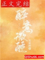 醉意微醺小说