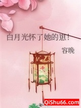 《白月光怀了她的崽！》全本TXT下载-作者：容晚