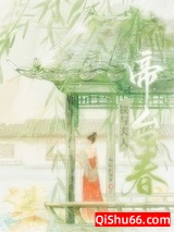 朕与夫人小说