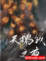 天鹅绒之夜图片