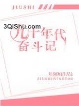 九十年代奋斗记图片