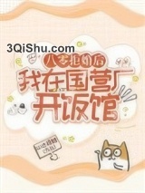 八零拒婚后，我在国营厂开饭馆图片