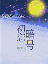 《初恋暗号》全本TXT下载-作者：陌言川
