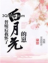 替嫁后我怀了白月光的崽图片