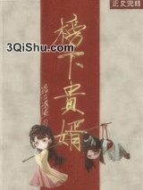榜下贵婿图片