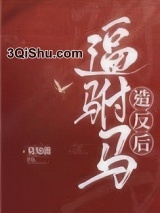 逼驸马造反后图片