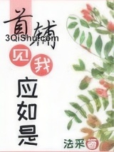 首辅见我应如是图片