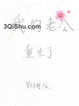 我的老公重生了图片