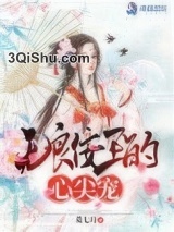 无良佞王的心尖宠图片