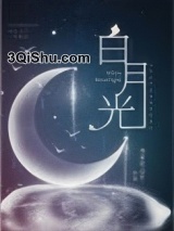 《白月光（穿书）》全本TXT下载-作者：我爱吃山竹