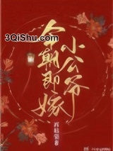 今朝即嫁小公爷图片