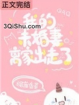 我的未婚妻离家出走了图片