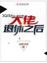 大佬退休之后图片
