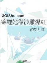 锦鲤她靠沙雕爆红图片