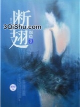 断翅图片