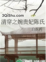 《清穿之婉贵妃陈氏》全本TXT下载-作者：白医药
