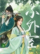 《小外室》全本TXT下载-作者：怡米