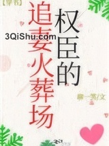 权臣的追妻火葬场图片