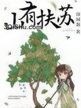 《美人关》全本TXT下载-作者：田园泡