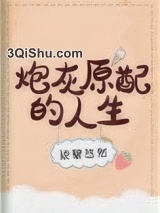 炮灰原配的人生(快穿)图片