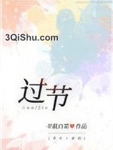 《过节》全本TXT下载-作者：半截白菜