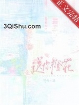 送你橙花图片