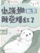 小海獭她靠睡觉爆红了图片