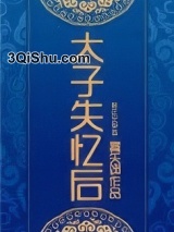 《太子失忆后》全本TXT下载-作者：雾矢翊