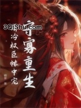 守寡重生，清冷权臣帐中宠图片