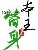《替身竟是本王自己（双替身）》全本TXT下载-作者：写离声