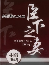 臣下之妻图片