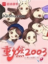 重燃2003图片