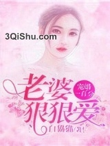 宠婚一百分：老婆，狠狠爱图片