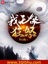 《我无能狂怒》全本TXT下载-作者：李心随