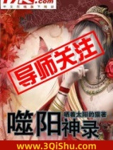 《噬阳神录》全本TXT下载-作者：晒着太阳的猫