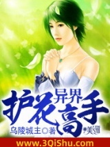 异界护花高手图片