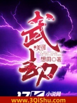 《武劫》全本TXT下载-作者：想田