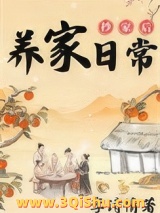 《抄家后的养家日常》全本TXT下载-作者：李诗情