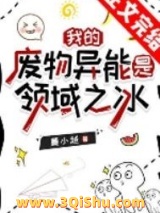 我的废物异能是领域之冰小说