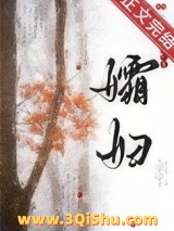 《孀妇》全本TXT下载-作者：岁岁长吉