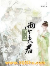 《区区两个夫君》全本TXT下载-作者：周九续