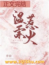 《温柔惹火》全本TXT下载-作者：李寂v5