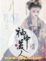 《袖中美人》全本TXT下载-作者：寒菽