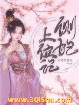 《侧妃上位记》全本TXT下载-作者：屋里的星星