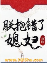 《朕抱错了媳妇》全本TXT下载-作者：希昀