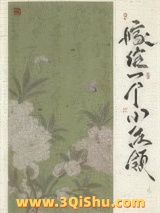 《嫁给一个小佐领（清穿）》全本TXT下载-作者：空巢独居客
