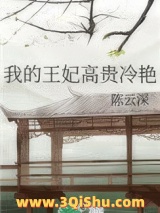 《我的王妃高贵冷艳》全本TXT下载-作者：陈云深